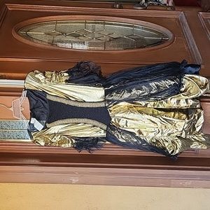 Marie Antoinette Adult Women's Costume Sexy Metallic Skirt Fancy Dress Disguise